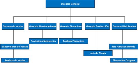 Organigrama De Empresa Comercial