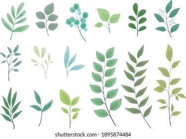 Set Vector Green Leaves Elements Stock Vector Royalty Free 1895874484