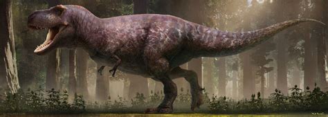 Tyrannosaurus Prehistoric Wiki Fandom