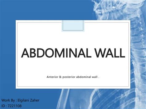 Anatomy of Abdominal Wall fffffffffffffff.pptx | Free Download