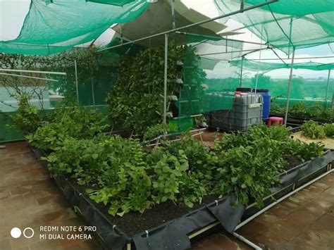 Neelithal Online Aquaponics Master Course Training