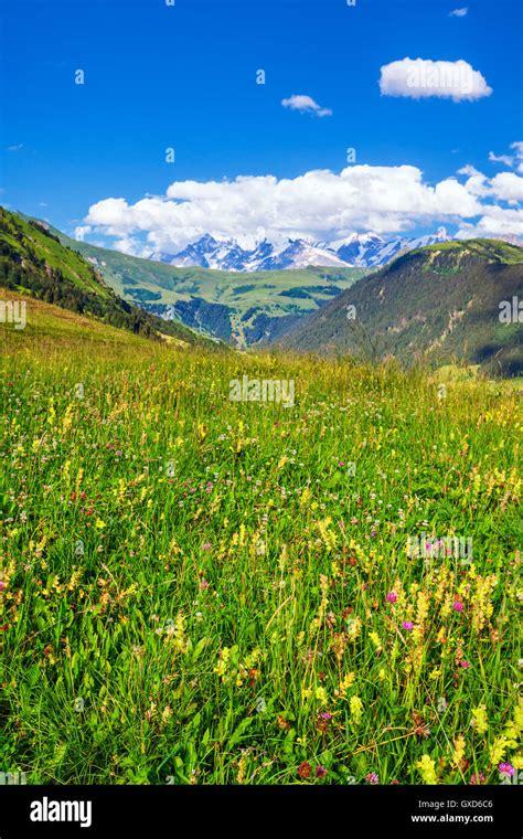 french Alps in summer Stock Photo - Alamy