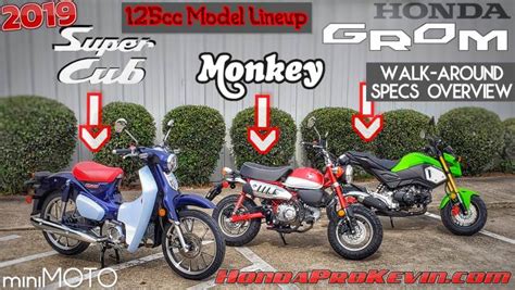 Honda Grom Size Bikes | Reviewmotors.co