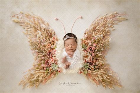 Digital Backdrop Background Newborn Girl Butterfly Boho Pink Etsy