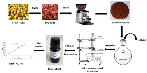 Processes Free Full Text Optimization Of Microwave Assisted Extraction Of Total Phenolic And