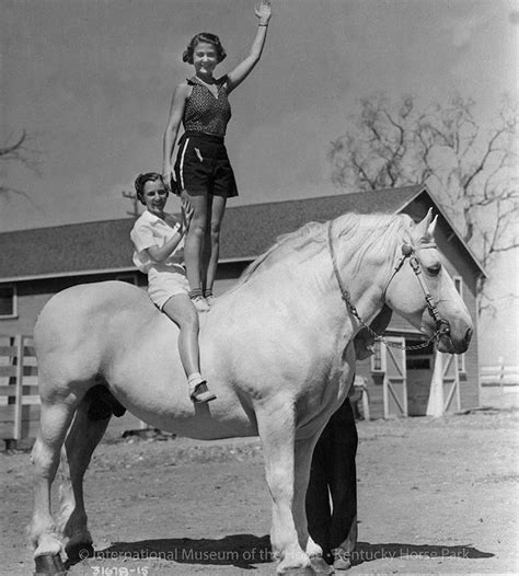 Vintage Percheron Horse Photos From The Back Cover Of The 1937 Issue