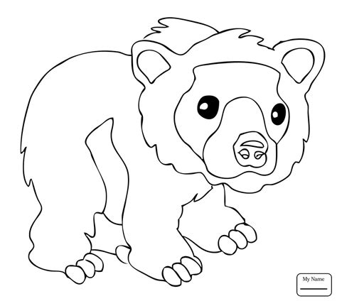 Bear Cub Drawing at GetDrawings.com | Free for personal use Bear Cub Drawing of your choice