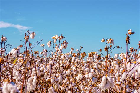 Mat Riaux Et Mati Res Premi Res Dans Les Textiles De Nettoyage