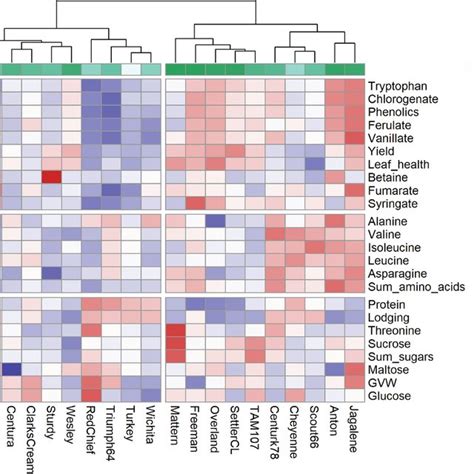 Heat Map And Hierarchical Clustering Analysis By Euclidian Distance Download Scientific Diagram