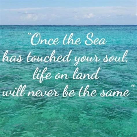 Vitamin Sea Quotes And Short Sea Quotes That Will Make You Dream Of