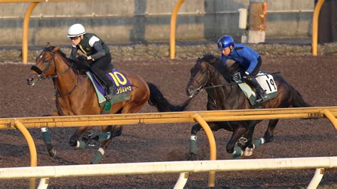 【宝塚記念1週前】調教マル得チェック② 日刊ゲンダイ競馬