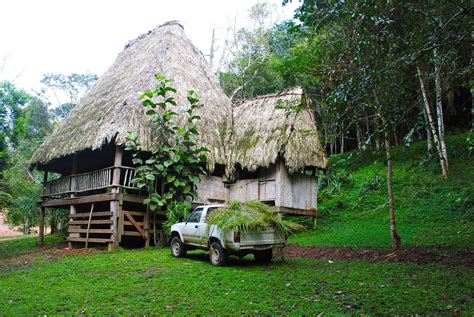 jungle house in belize | Jungle house, Belize vacations, American houses