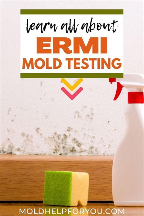 What Is An Ermi Mold Test Artofit