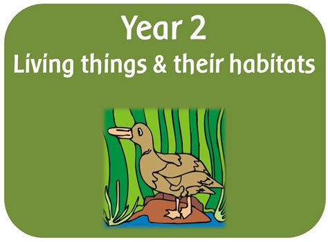 Year 2 Science - Living things resource pack - powerpoints, planning ...