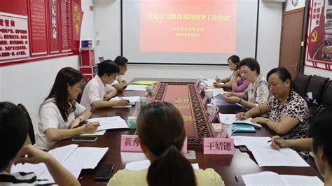 阳江市妇联召开党史学习教育工作会议， 市委巡回指导组到会指导澎湃号·政务澎湃新闻 The Paper