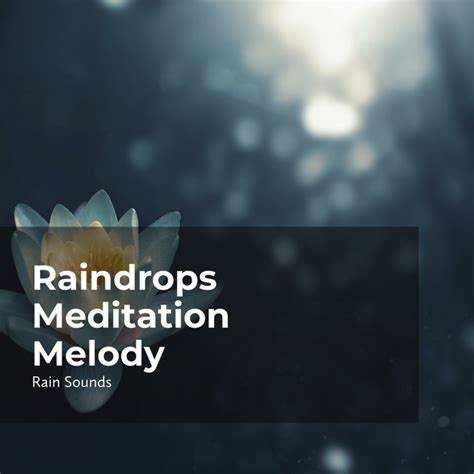 Raindrops Meditation Melody Album By Natural Rain Sounds For Sleeping