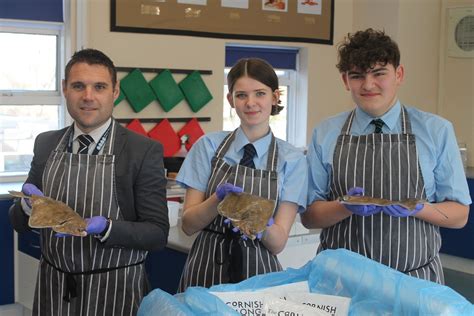 Fish In Schools Hero programme — Whitstone School