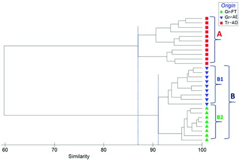 Dendrogram For Hierarchical Clustering Of The Elemental Abundance Of