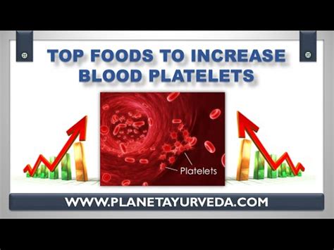 Top 15 Foods To Increase Blood Platelets YouTube