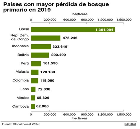 Los Incendios Forestales De Todos Los A Os Cooperacci N