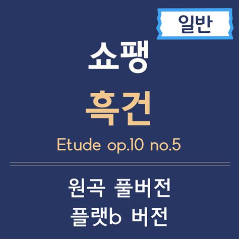 쇼팽 에튀드 악보 흑건 일반 악보 Chopin Etude Op10 No5플랫버전 3piano