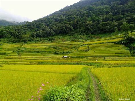 Nagaland Tourism: 7 Popular Tourist Places to Visit in Nagaland | Veena ...