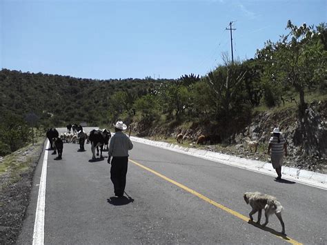 TRINIDAD HUAXTEPEC OAX ARRIEROS SOMOS Y EN EL CAMINO ANDAMOS