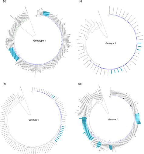 Trends Of Recent Hepatitis C Virus Infection Among HIV Positive Men Who Have Sex With Men In