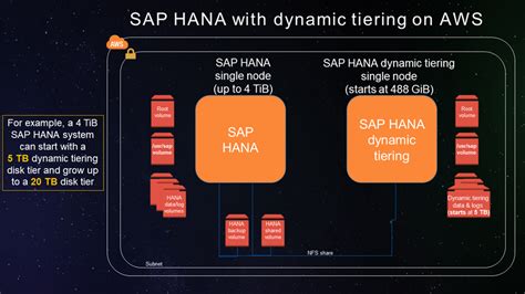 Sap Hana Dynamic Tiering On The Aws Cloud Miadria