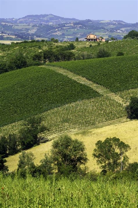 Rural Landscape Near Rimini And Verucchio Emilia Romagna Stock Image