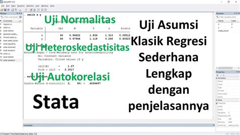 Stata Uji Asumsi Klasik Regresi Sederhana Lengkap Dengan