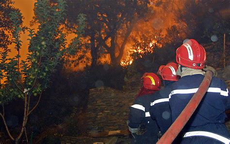 Incendiu Puternic In Muntii Sureanu Peste De Hectare De Padure Au