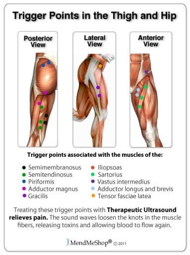 Astepaway New Search Experience Trigger Points Massage Therapy Trigger Point Therapy