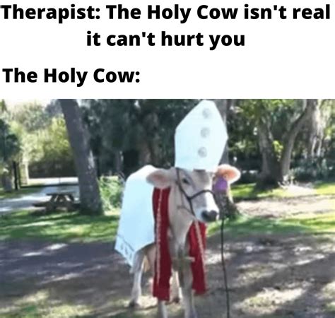 The Holy Cow may be real but the Holy Shit isn't real : r/memes