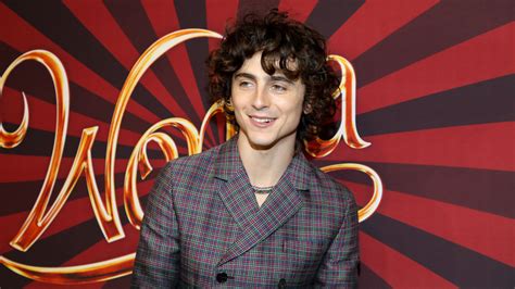 Red Flags In Timoth E Chalamet Kylie Jenner S Relationship