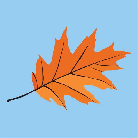 A beautiful Fall Leaf illustration vector art design 21789028 Vector ...