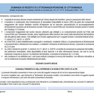 Reddito Di Cittadinanza Ecco Il Modulo Di Domanda La Voce Del Volturno