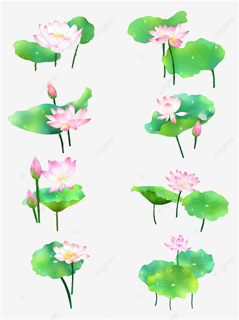 Hand Painted Lotus PNG Picture Hand Painted Lotus Leaf Material Hand