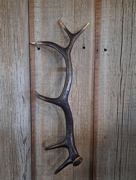 Bronze Elk Antler Door Handle Etsy