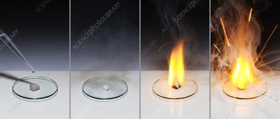 Sodium Burning And Exploding Stock Image C055 5578 Science Photo