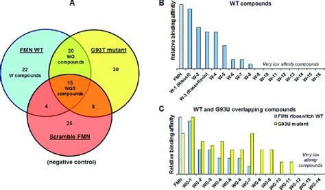 (A) ALIS screening of the FMN riboswitch WT, G93U mutant, and Scramble ...