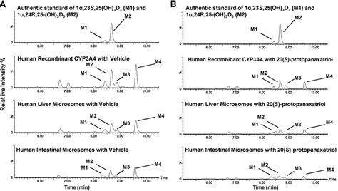 Representative Lc Msms Chromatogram Showing The Inhibitory Effect Of Download Scientific