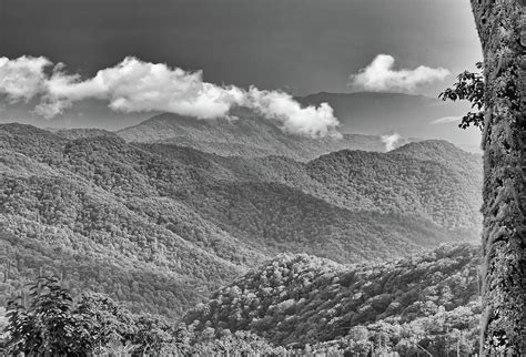 Craggy Mountains In The Smokies Photograph By Rebecca Carr Fine Art