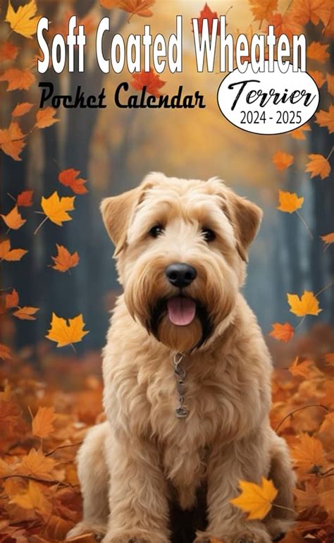 Wheaten Terrier Calendar 2025 Elsie Myriam