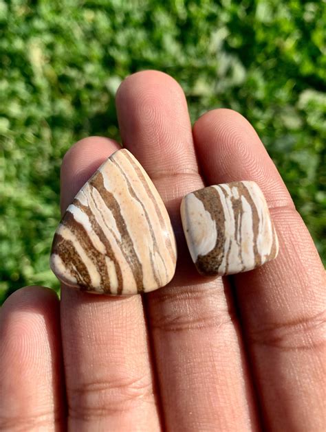 Zebra Jasper Cabochon Natural Zebra Jasper Gemstone Jasper Etsy