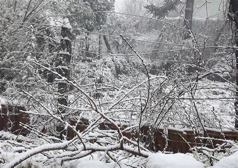 Neve E Muito Frio No Brasil Nos Pr Ximos Dias Climatempo