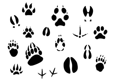 Animal isolated footprints 11215114 Vector Art at Vecteezy