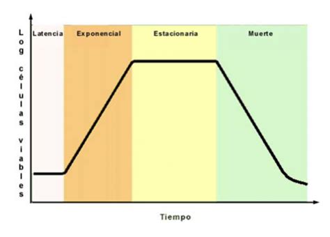 La importancia de la conservación de la cadena de frío FSI