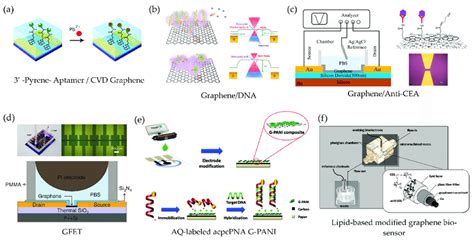 Schematic Illustrations Of Graphene Based Biosensors A Pb In