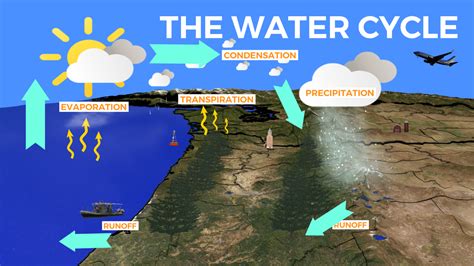 Precipitation Education The Water Cycle